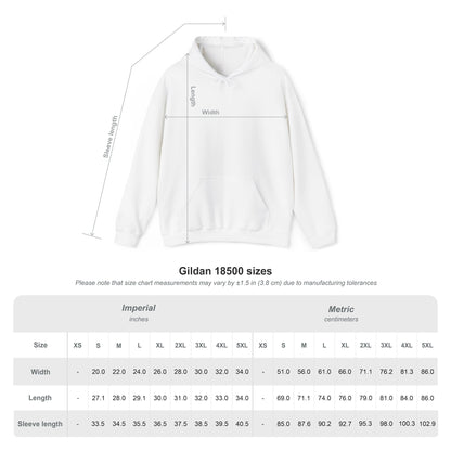 Hoodie — Cute Panda Bear 'I Make My Own Problems' Graphic Pullover